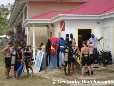 scuba diving grenada native spirit scuba grand anse beach hotel