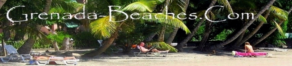 Grenada Beaches header image